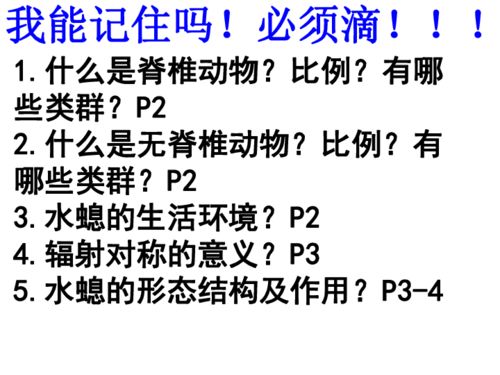 人教版初三圓的基礎(chǔ)知識