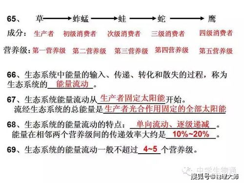 高中生物課本基礎(chǔ)知識百度文庫