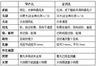 臨床醫(yī)學(xué)工程基礎(chǔ)知識