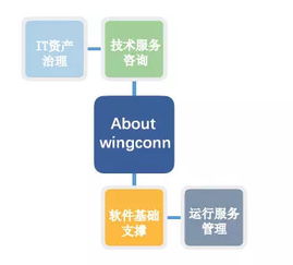 it應(yīng)用支撐類基礎(chǔ)知識