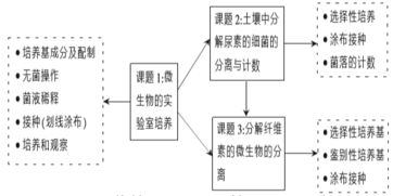 養(yǎng)殖的基礎(chǔ)知識(shí),皮膚管理基礎(chǔ)知識(shí),水產(chǎn)養(yǎng)殖基礎(chǔ)知識(shí)