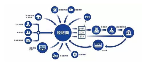e外匯基礎(chǔ)知識入門