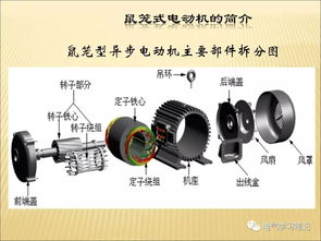 機(jī)械設(shè)計(jì)電機(jī)基礎(chǔ)知識