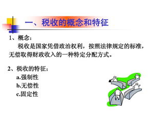 稅收基礎(chǔ)理論知識ppt