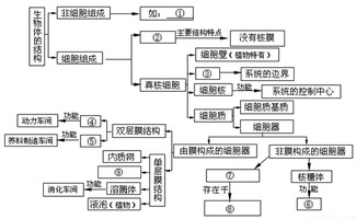 18體基礎(chǔ)知識