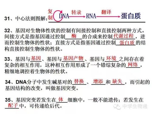 基礎(chǔ)知識,心理