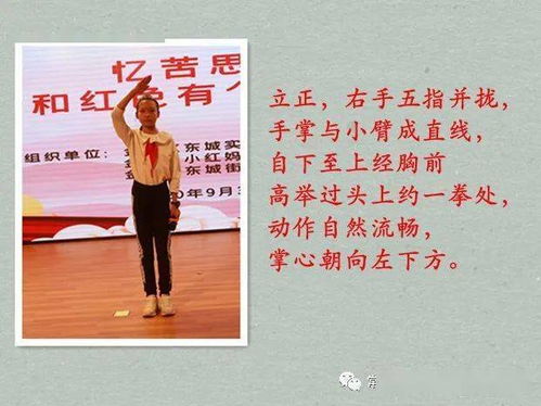 少先隊(duì)基礎(chǔ)知識和隊(duì)禮儀訓(xùn)練