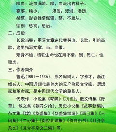 河北高一語文基礎(chǔ)知識整理