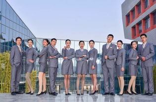 航空公司管理基礎(chǔ)知識