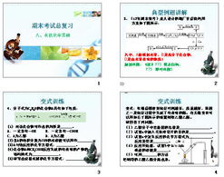 化學(xué)基礎(chǔ)知識(shí)入門書籍,化學(xué)基礎(chǔ)知識(shí)入門,化學(xué)基礎(chǔ)知識(shí)入門txt