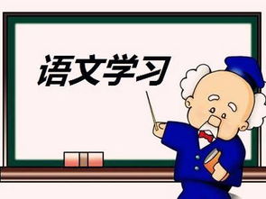 成考語(yǔ)文本科基礎(chǔ)知識(shí)