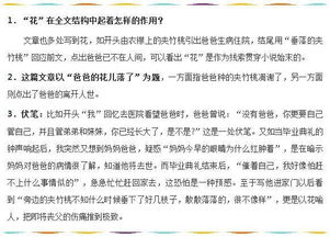 初一語文上冊基礎知識大全書多少錢一本,初一語文基礎知識大全匯總,初一語文上冊基礎知識訓練