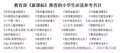 紅樓夢小學(xué)必考基礎(chǔ)知識考試試題