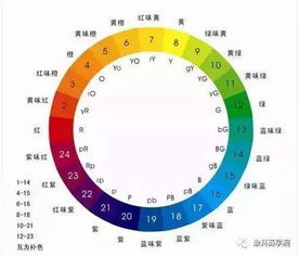 涂料售后基礎(chǔ)知識