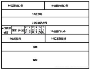 自考計算機(jī)網(wǎng)絡(luò)基礎(chǔ)知識總結(jié)