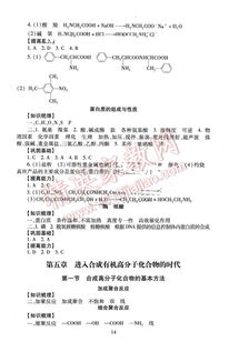 九下化學伴你學基礎知識梳理答案