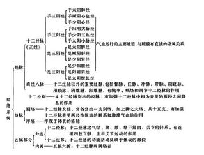 中醫(yī)基礎(chǔ)知識(shí)脈象