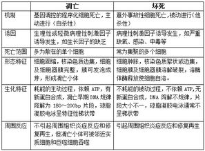 2018臨床醫(yī)學(xué)基礎(chǔ)知識(shí)試題