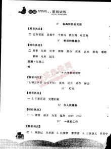 一到,六級,人教版,基礎(chǔ)知識