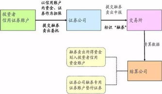 證券公司業(yè)務(wù)基礎(chǔ)知識