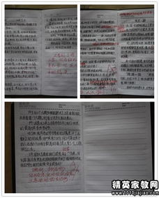 小學體育基礎知識教學反思