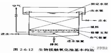 污水處理,基礎(chǔ)知識(shí),測(cè)試題,城市