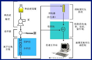 離子色譜基礎(chǔ)知識(shí)試題