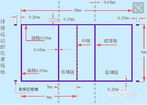 排球基礎(chǔ)知識演講稿