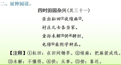 小學(xué)語文四年級(jí)基礎(chǔ)知識(shí)訓(xùn)練,小學(xué)語文四年級(jí)上冊(cè)的古詩(shī)詞,小學(xué)語文四年級(jí)上冊(cè)基礎(chǔ)知識(shí)匯總