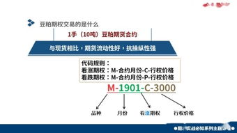 股票小白入門(mén)基礎(chǔ)知識(shí),股票圖形入門(mén)基礎(chǔ)知識(shí),股票期貨入門(mén)基礎(chǔ)知識(shí)