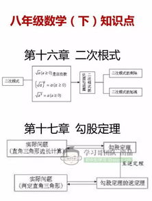 初中數(shù)學(xué)基礎(chǔ)知識考點(diǎn)