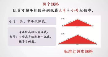 少先隊(duì)建隊(duì)的基礎(chǔ)知識(shí)