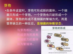 衛(wèi)生學及微生物基礎知識培訓