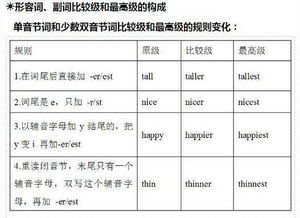 中職英語(yǔ)基礎(chǔ)知識(shí)匯總