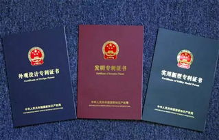 國家專利申請基礎(chǔ)知識3