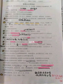 中考說明文的基礎知識