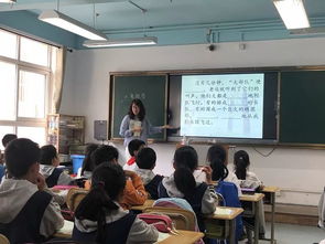 夯實,基礎(chǔ)知識,小學(xué),教學(xué)
