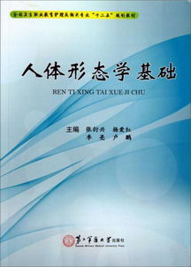 人體形態(tài)學基礎知識