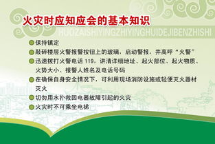 黨建應(yīng)知應(yīng)會(huì)基礎(chǔ)知識(shí),黨政干部應(yīng)知應(yīng)會(huì)基礎(chǔ)知識(shí)考試,計(jì)算機(jī)應(yīng)知應(yīng)會(huì)基礎(chǔ)知識(shí)
