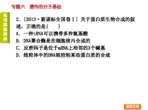 遺傳分子基礎易錯易混知識點