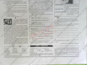 九級學英語基礎知識專練報紙