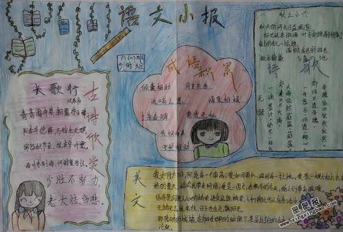 基礎知識,高中語文,手抄報