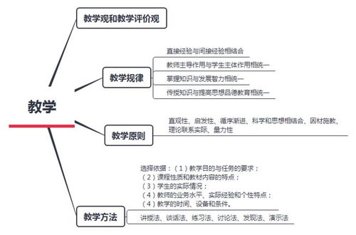 歸納,基礎(chǔ)知識,分析題,案例