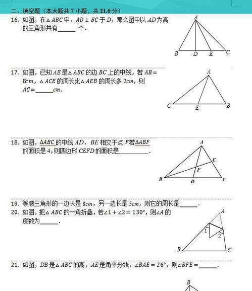 三角形的基礎(chǔ)知識(shí)