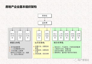 基礎(chǔ)知識(shí),流程,經(jīng)營