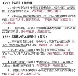 重點初中基礎(chǔ)知識不講