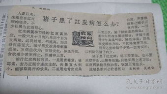 養(yǎng)豬基礎(chǔ)知識(shí)71講