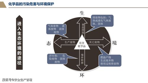 危險化學(xué)品胡基礎(chǔ)知識