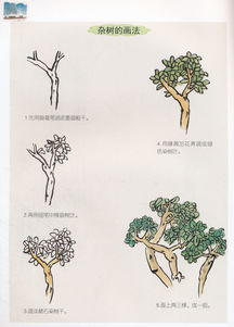 少兒國(guó)畫(huà)基礎(chǔ)知識(shí)