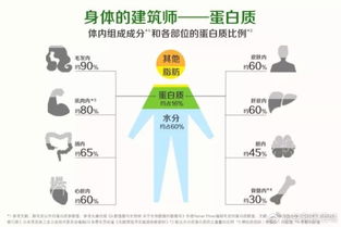 安利基礎(chǔ)知識(shí)蛋白質(zhì)上簡(jiǎn)便書(shū)